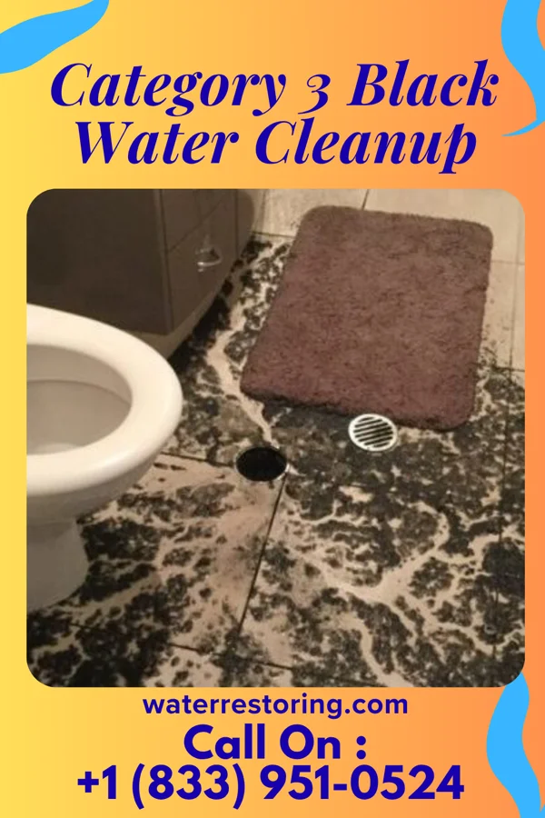 Category 3 Black Water Cleanup in Homecroft, IN