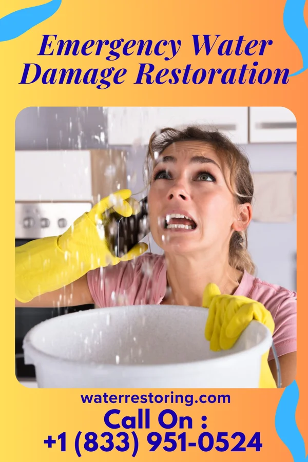 Emergency Water Damage Restoration in Homecroft, IN