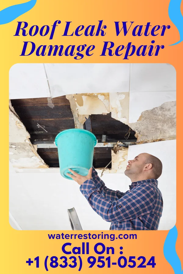 Roof Leak Water Damage Repair in Homecroft, IN